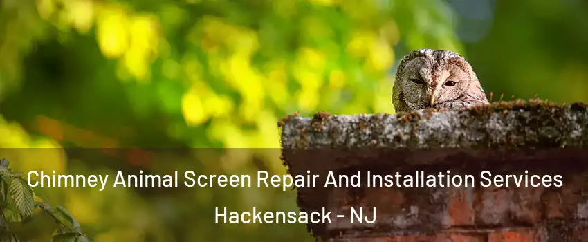  Chimney Animal Screen Repair And Installation Services Hackensack - NJ