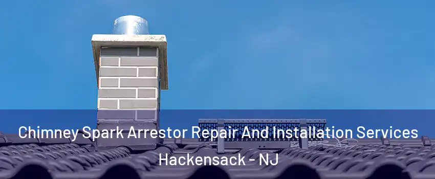  Chimney Spark Arrestor Repair And Installation Services Hackensack - NJ