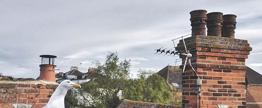 Chimney Cleaning And Restoration in Hackensack, New Jersey