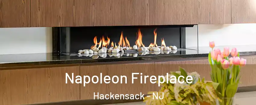  Napoleon Fireplace Hackensack - NJ